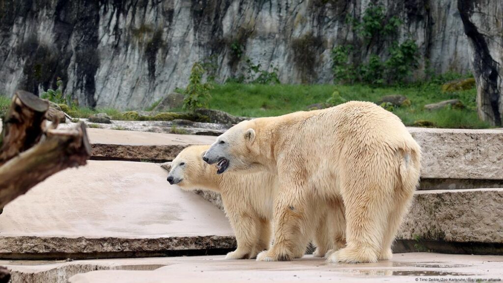 Zoo Karlsruhe: Ein unvergesslicher Besuch für die ganze Familie