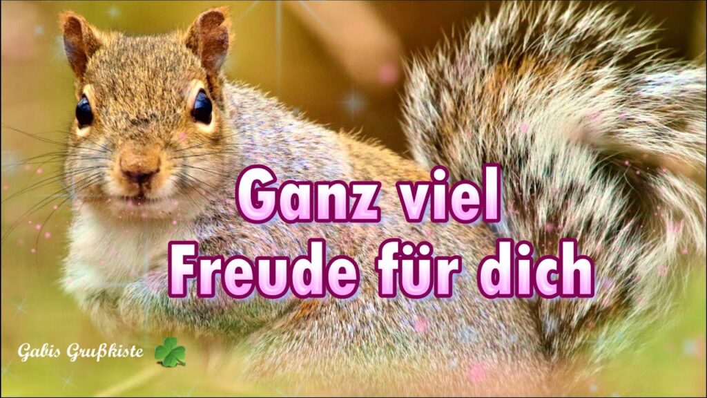 witzig frech guten morgen lustig