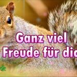 witzig frech guten morgen lustig