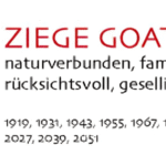 chinesischen Sternzeichen Bedeutung