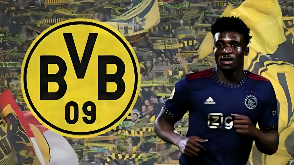 BVB Transfer